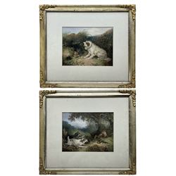 After George Armfield (British 1808-1893): The Two Terriers, early 20th century prints embellished with watercolour unsigned 21cm x 27cm (2)