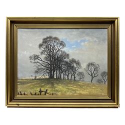 James David Preston (British 1946-): 'Trees Near Little Aston' oil on canvas signed 44cm x 59cm
