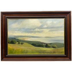 Anne Isabella Brooke (Yorkshire 1916-2002): Panoramic Coastal Landscape, oil on canvas signed 35cm x 55cm
