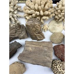 Collection of ten fossilised tree branches and minerals together with three books on fossils and nine pieces of coral with a book 'Red Sea Coral Reefs'