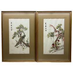 Chinese School (20th century): Peacocks and Birds in Blossom Tree, pair framed embroideries 57cm x 33cm (2)
