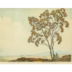 Alice Barnwell (British 1910-1980): 'Autumn Tints', coloured artist's proof etching signed and titled in pencil with Rembrandt Guild blindstamp 24cm x 30cm