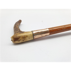 Ladies Edwardian riding crop by Swaine & Adeney with 15ct gold collar and antler handle L62cm