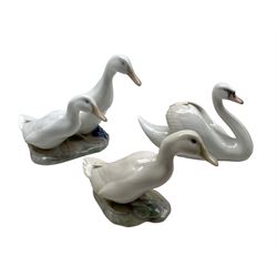 Three Royal Copenhagen porcelain birds comprising a Swan no. 755, Duck and Drake no. 2128 both designed by Olaf Mathiesen and a Duck no. 1192 (3) 