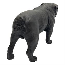Sally Arnup FRBS, ARCA (1930-2015): British Bulldog, bronze, signed and numbered IV/X, although only two models were actually cast.  
Provenance: purchased by the vendor from The Blake Gallery York, August 2003. The dog depicted is champion Coatesmar 'Gabriel Oak', born 27th December 1988.