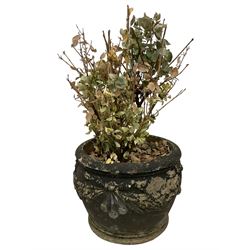 Circular cast stone garden planter, decorated with festoons and ribbon ties, planted with shrub 
