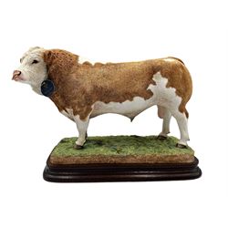 Border Fine Arts limited edition model 'Simmental Bull' no. B0996 by Antony Halls, 188/500, with certificate and box