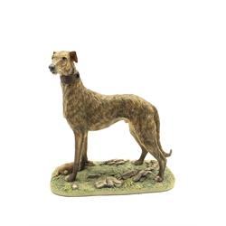 Border Fine Arts standing lurcher with a rabbit at its feet by Elizabeth Waugh limited edition No.192/250 25cm x 25cm