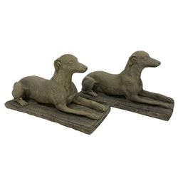 Pair of cast stone garden statues in the form of recumbent greyhounds, on rectangular plinth bases