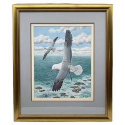 Simon Turvey (British 1957-): Seagulls in Flight, watercolour signed 41cm x 32cm