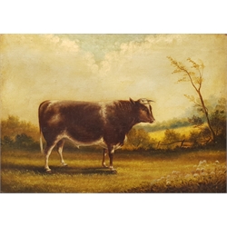 Winston Mitchell (British 19th century): Portraits of Cattle in the Field, pair oils on canvas signed and dated 1886, 40cm x 55cm (2)