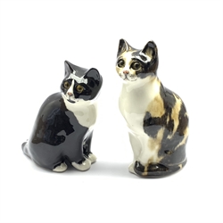 Winstanley tabby cat with glass eyes, size 2 and a Winstanley black and white cat size 2