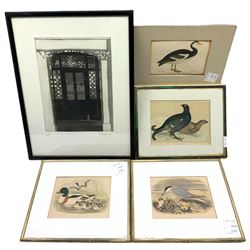 Mary Bridger (British 20th century): Doorway with Corinthian Columns, woodblock print signed and dated '76 numbered 6/10 together with after Reverend Francis Orpen Morris (Irish 1810-1893): 'Spur-winged Goose'; 'Sheldrake and Young'; 'Tern Feeding Young'; 'Black Grouse', four engravings with hand-colouring from publication 'A History of British Birds' pub. 1895 max 26cm x 19cm (5)