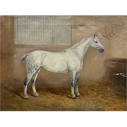William Henderson of Whitby (British 1844-1904): 'Twilight' - Portrait of a Dapple Grey Hunter Horse in Stable, oil on canvas signed and titled 46cm x 61cm (unframed)