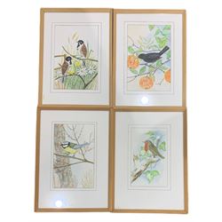 F Marsdin (British 20th century): 'Blue Tit' 'Robin' 'Blackbird' and 'Red Buntings', set four watercolours signed titled and dated 1991, 19cm x 12cm (4)