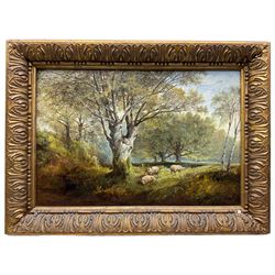 English School (19th century): Sheep Grazing, oil on canvas unsigned 39cm x 58cm