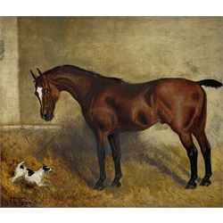 Ruth Tennant (English Naive School early 20th century): Horse in Stable with Dog, oil on board signed 38cm x 45cm