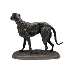 Arthur Waagen (German 1833-1898): Bronze of the Irish Wolfhound 'Gelert', the base set with a scroll giving the dimensions of the animal and prizes won in the 1860s, with signature L30cm x H23cm  Provenance: 3rd Earl of Feversham
