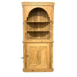 Victorian style barrel back corner cabinet, the cornice over two shelves flanked by turned columns, leading to cupboard with one fixed shelf, raised on a plinth base W97cm, H206cm, D38cm