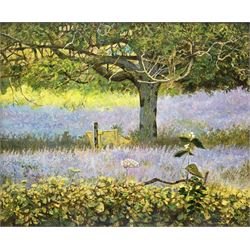 Jack Cudworth (British 1930-2010): Spring Woodland Scene with Bluebells, oil on board signed 50cm x 60cm