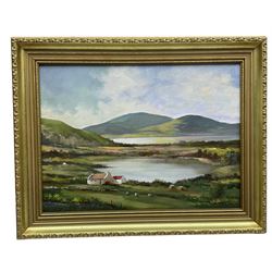 Irish School (20th century): Cottage by the Lakes, oil on board unsigned 28cm x 39cm; American School (Late 20th century): Apocalyptic Scene, oil on canvas indistinctly signed and dated '95, 56cm x 70cm (unframed) (2)