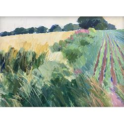 Jack Hellewell (Northern British 1920-2000): Ploughed Fields with Foxgloves, acrylic on board signed verso 45cm x 60cm
Provenance: direct from the family of the artist