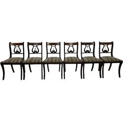 Set of twelve (10+2) Regency style mahogany dining chairs, the brass inlayed cresting rail and lyre splat, over upholstered drop in seat pad, raised on reeded sabre supports 