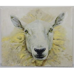 Sarah Williams (British 1961-): White Sheep, oil on canvas signed verso 75cm x 90cm 
Notes: Sarah graduated from Norwich School of Art and Design in 1984 with a first-class BA Hons in Fine Art and, having won the Stowell's Trophy, was awarded an unconditional place to study MA Painting at the Royal Academy. She comes from a family of creative talent - her father, Reg Williams, was a member of the York Four. During her three years at Norwich Art School, she exhibited regularly in the school gallery and Norwich Castle and visited Switzerland, exhibiting and working with Kurt Rupe. More recently, she has exhibited in galleries around England and has had her own businesses in Interior Design, Architectural Design, Furniture Design and Jewellery. Sarah has recently returned to painting full-time and, having used a multitude of mediums in her creative work, now confesses she is an oil-paint addict. It is 