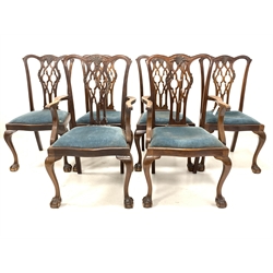 Set six (4+2) early 20th century mahogany Chippendale style dining chairs, shaped cresting rail over pierced and floral carved splat, drop in upholstered seat pads with serpentine fronts, raised on cabriole front supports with ball and claw feet 