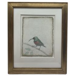 Victor Koulbak (Russian/French 1946-): 'Long Beak', silverpoint and watercolour signed with monogram, labelled and dated 2007 verso exhibited London Portland Gallery September 2008, 32cm x 25cm