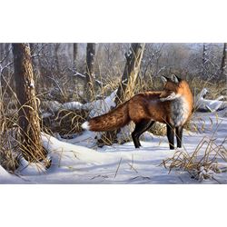 After James 'Jim' Hautman (British 1964-): Winter Fox, limited edition print signed in pencil and numbered 491/950 together with after Rosemary Millette (British contemporary): Pheasants in Snow, limited edition print signed in pencil and numbered 146/950 max 43cm x 69cm (2)