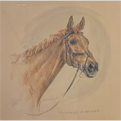 English School (20th century): 'Moment of Madness' Head and Shoulders Study of a Chestnut Horse,  watercolour signed with initials PB dated '10, 19cm x 20cm
