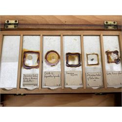 Box of microscope slides with twelve shallow trays, some inscribed 'Marchand, Paris', another box of five shallow trays, another slide box by R & J Beck, London and a box of loose slides etc (4)