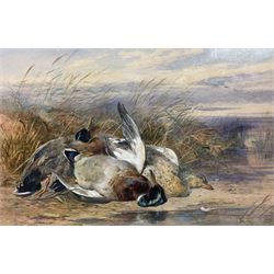 James Hardy (British 1832-1889): Ducks, watercolour signed and dated 1868, 24cm x 37cm