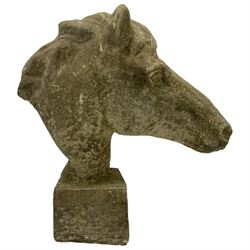 Cast stone garden statue in the form of a horse head, facing forward with lucious mane