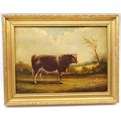 Winston Mitchell (British 19th century): Portraits of Cattle in the Field, pair oils on canvas signed and dated 1886, 40cm x 55cm (2)