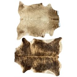 Pair of hair-on cowhide skin rugs, brindle (211cm x 173cm) and beige (213cm x 183cm)