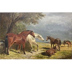 John Frederick Herring Snr. (1795-1865): Wild Horses, oil on panel signed 14.5cm x 22cm
Provenance:  3rd Earl of Feversham 
