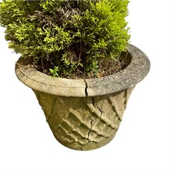 Pair of weathered cast stone garden planters, with lattice decoration