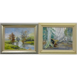 Anne Williams (British 20th century): 'River Derwent, Howsham' and The Fallen Tree, two oils on board signed, one titled on label verso, each 30cm x 39cm (2) 
Provenance: direct from the artist's family. Anne was a local artist who lived at Malton and later York.