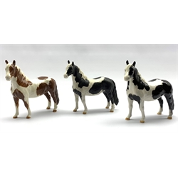 Beswick Piebald Pinto pony in gloss, another matt and a Skewbald Pinto pony in gloss, Model No.  1373, all second versions (3)
