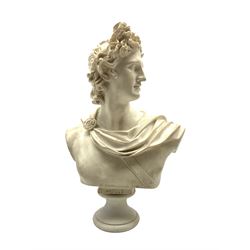 Marble effect bust of Apollo Belvedere H53cm