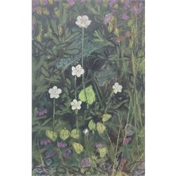 Selina Thorp (British 1968-): 'Grass of Parnassus', oil pastel unsigned, labelled verso 21cm x 14cm