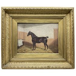 Albert Clark Snr (British 1821-1909): Portrait of a Bay Horse in Stable with J R initialled on rug, oil on canvas unsigned, housed in heavy gilt stepped frame with foliate design 29cm x 39cm