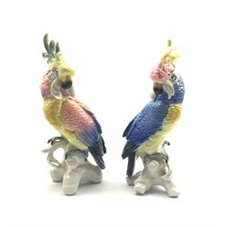 Near pair of Karl Ens figures of cockatoos in yellow, blue, pink etc H27cm