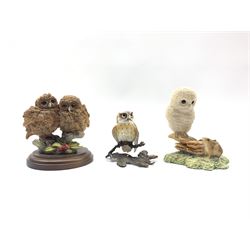 Albany china and bronze figure of an owl H7cm, Border Fine Arts figure of an owl and a mouse by Ray Ayres and a Country Artists group of Little Owlets