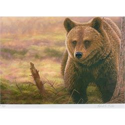 Robert E Fuller (British 1972-): Grizzly Bear, limited edition colour print signed and numbered 21/850, 21cm x 30cm