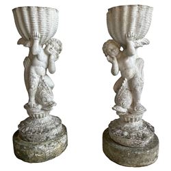 Pair of mid-20th century cast stone garden planters, shaped shell basket planter held aloft by putto riding dolphin, circular foliage moulded footed base raised on circular plinth, white painted finish, base inscribed 'Riproduzione Vietata Papini'