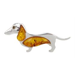 Silver Baltic amber dachshund brooch, stamped 925