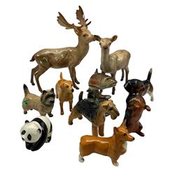 Beswick model of a Stag and Doe 981 and 999a, Beswick Trout 1390, Panda cub 1815 and six small Beswick dogs (10)